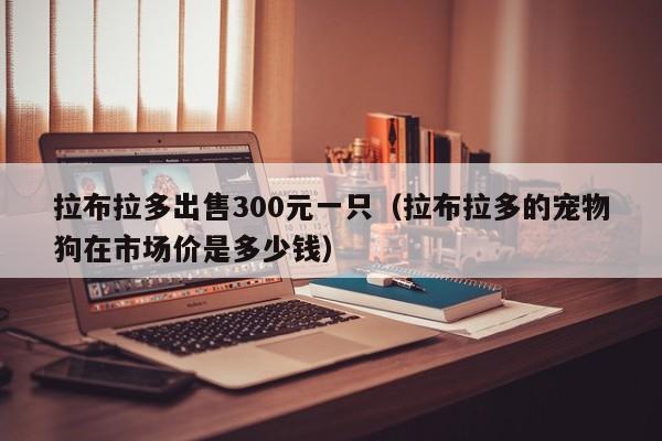 拉布拉多出售300元一只（拉布拉多的宠物狗在市场价是多少钱）