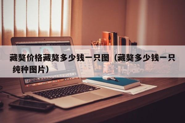 藏獒价格藏獒多少钱一只图（藏獒多少钱一只 纯种图片）