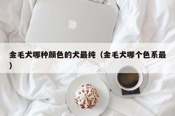 金毛犬哪种颜色的犬最纯（金毛犬哪个色系最）