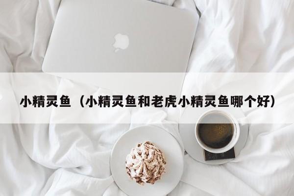 小精灵鱼（小精灵鱼和老虎小精灵鱼哪个好）