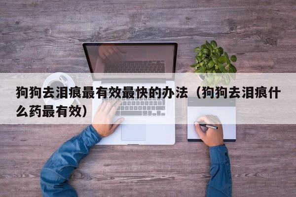 狗狗去泪痕最有效最快的办法（狗狗去泪痕什么药最有效）
