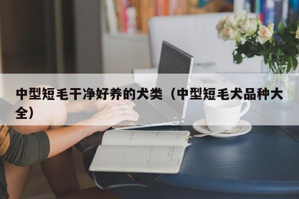 中型短毛干净好养的犬类（中型短毛犬品种大全）