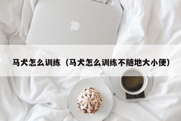 马犬怎么训练（马犬怎么训练不随地大小便）