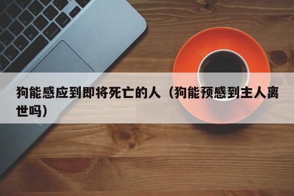 狗能感应到即将死亡的人（狗能预感到主人离世吗）
