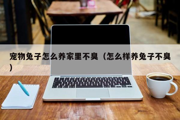 宠物兔子怎么养家里不臭（怎么样养兔子不臭）