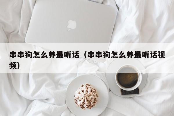 串串狗怎么养最听话（串串狗怎么养最听话视频）