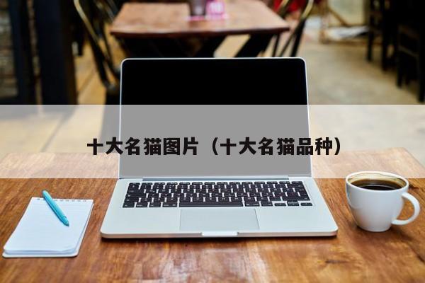 十大名猫图片（十大名猫品种）