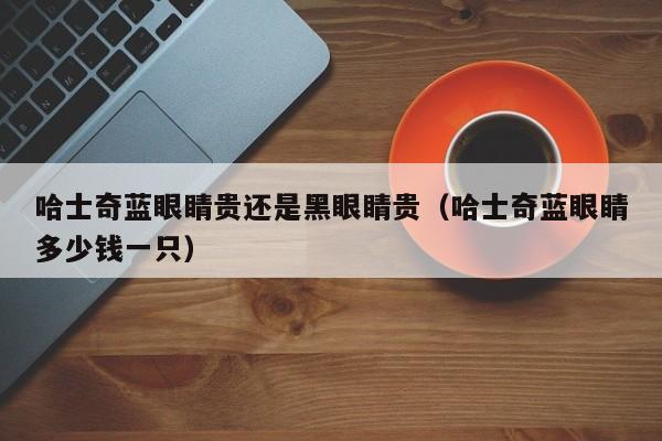 哈士奇蓝眼睛贵还是黑眼睛贵（哈士奇蓝眼睛多少钱一只）