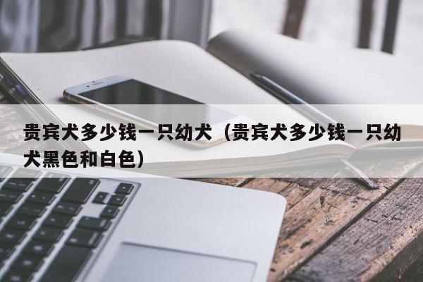 贵宾犬多少钱一只幼犬（贵宾犬多少钱一只幼犬黑色和白色）
