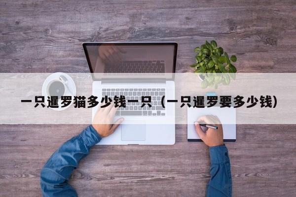 一只暹罗猫多少钱一只（一只暹罗要多少钱）