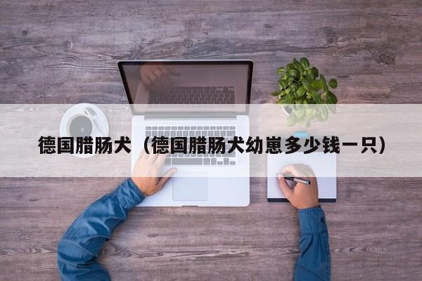 德国腊肠犬（德国腊肠犬幼崽多少钱一只）