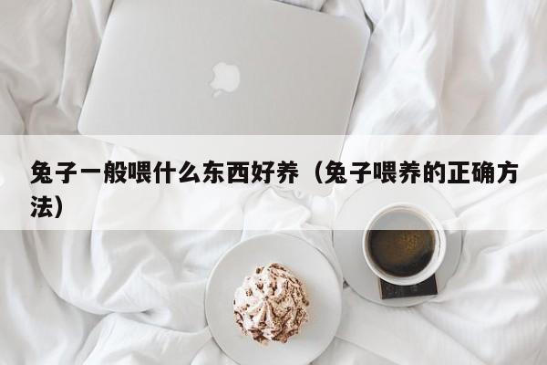 兔子一般喂什么东西好养（兔子喂养的正确 *** ）