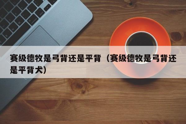 赛级德牧是弓背还是平背（赛级德牧是弓背还是平背犬）