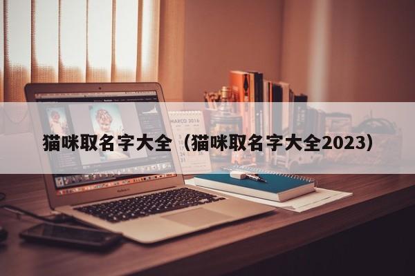 猫咪取名字大全（猫咪取名字大全2023）