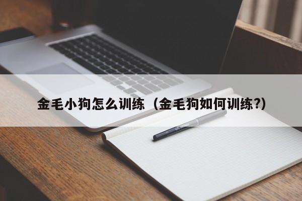 金毛小狗怎么训练（金毛狗如何训练?）