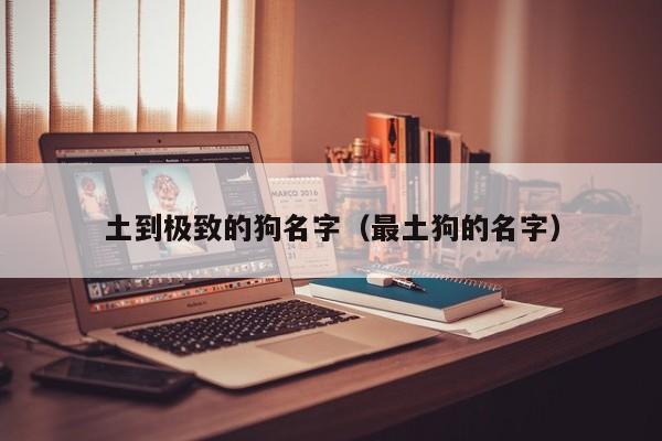 土到极致的狗名字（最土狗的名字）