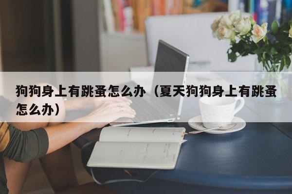 狗狗身上有跳蚤怎么办（夏天狗狗身上有跳蚤怎么办）