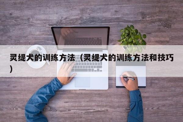 灵缇犬的训练 *** （灵缇犬的训练 *** 和技巧）