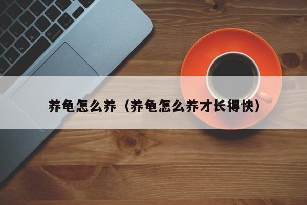 养龟怎么养（养龟怎么养才长得快）