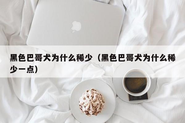 黑色巴哥犬为什么稀少（黑色巴哥犬为什么稀少一点）