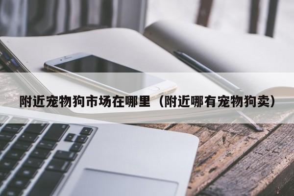 附近宠物狗市场在哪里（附近哪有宠物狗卖）