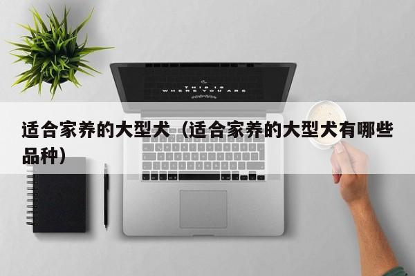 适合家养的大型犬（适合家养的大型犬有哪些品种）