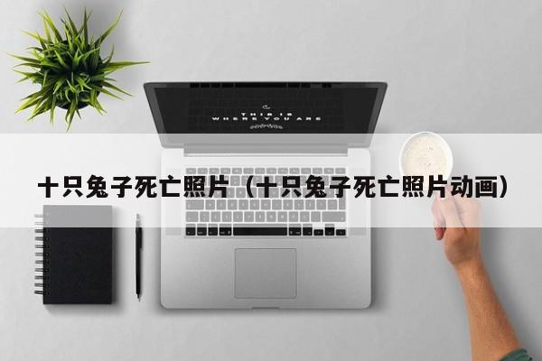 十只兔子死亡照片（十只兔子死亡照片动画）