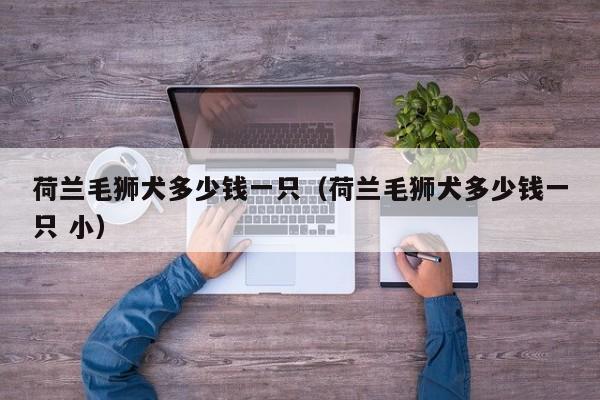 荷兰毛狮犬多少钱一只（荷兰毛狮犬多少钱一只 小）