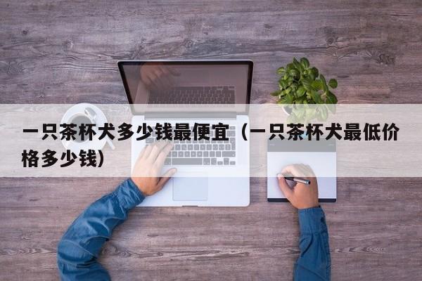 一只茶杯犬多少钱更便宜（一只茶杯犬更低价格多少钱）