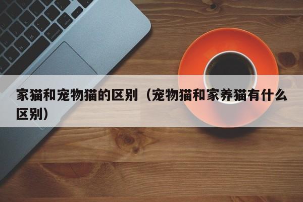 家猫和宠物猫的区别（宠物猫和家养猫有什么区别）