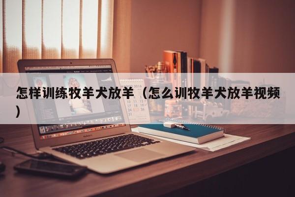 怎样训练牧羊犬放羊（怎么训牧羊犬放羊视频）