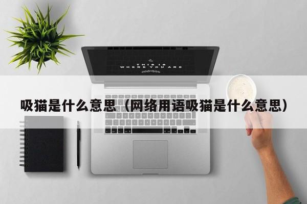 吸猫是什么意思（ *** 用语吸猫是什么意思）