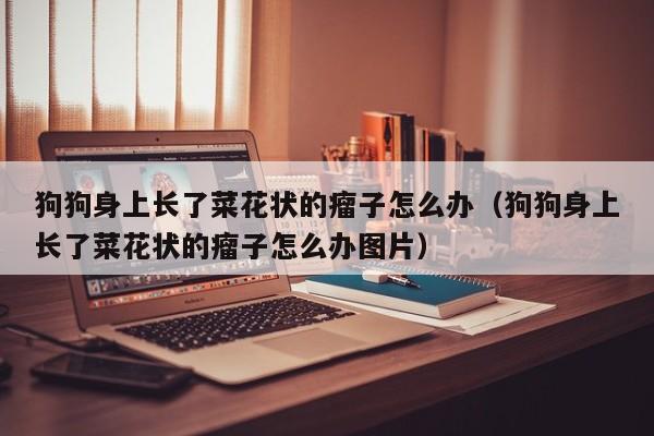 狗狗身上长了菜花状的瘤子怎么办（狗狗身上长了菜花状的瘤子怎么办图片）