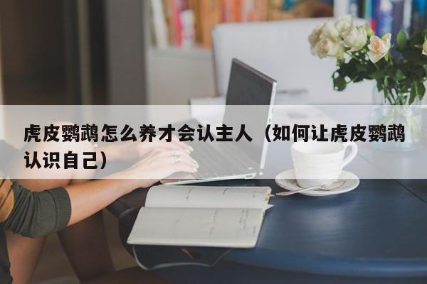 虎皮鹦鹉怎么养才会认主人（如何让虎皮鹦鹉认识自己）
