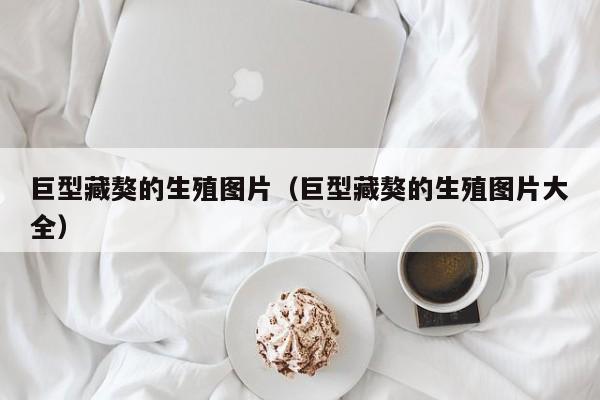 巨型藏獒的生殖图片（巨型藏獒的生殖图片大全）