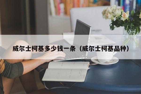 威尔士柯基多少钱一条（威尔士柯基品种）