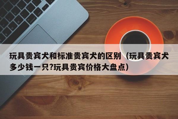 玩具贵宾犬和标准贵宾犬的区别（玩具贵宾犬多少钱一只?玩具贵宾价格大盘点）