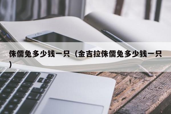 侏儒兔多少钱一只（金吉拉侏儒兔多少钱一只）