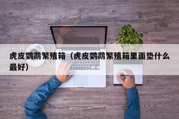 虎皮鹦鹉繁殖箱（虎皮鹦鹉繁殖箱里面垫什么更好）
