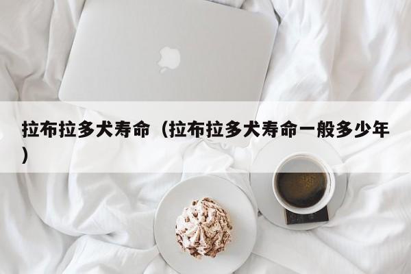 拉布拉多犬寿命（拉布拉多犬寿命一般多少年）