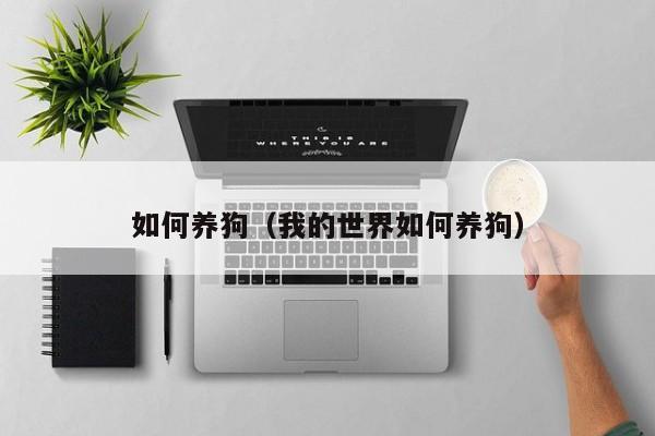 如何养狗（我的世界如何养狗）