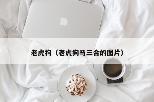 老虎狗（老虎狗马三合的图片）