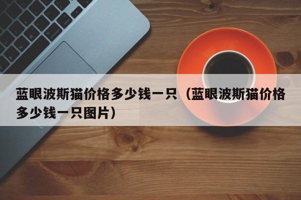 蓝眼波斯猫价格多少钱一只（蓝眼波斯猫价格多少钱一只图片）
