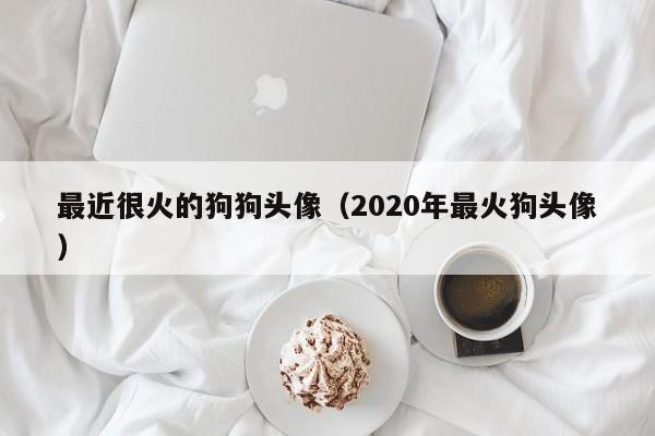 最近很火的狗狗头像（2020年最*头像）