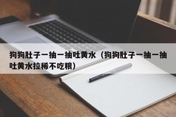 狗狗肚子一抽一抽吐黄水（狗狗肚子一抽一抽吐黄水拉稀不吃粮）