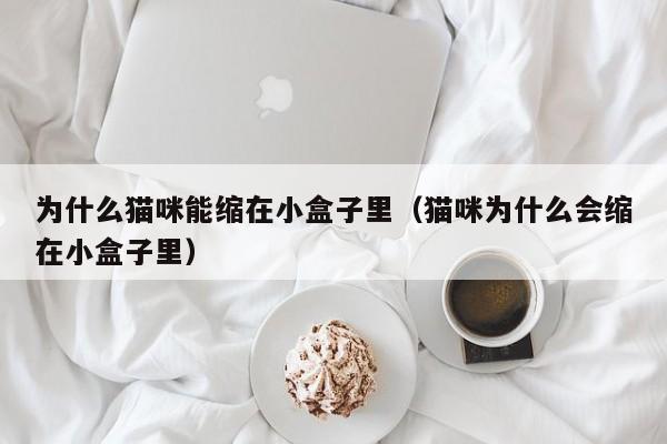 为什么猫咪能缩在小盒子里（猫咪为什么会缩在小盒子里）