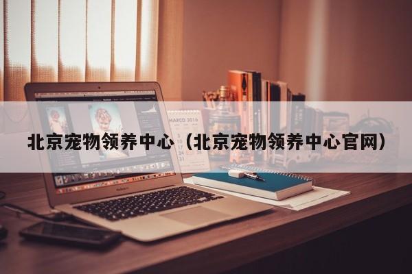 北京宠物领养中心（北京宠物领养中心官网）