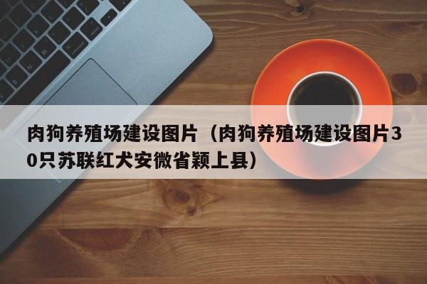 肉狗养殖场建设图片（肉狗养殖场建设图片30只苏联红犬安微省颖上县）