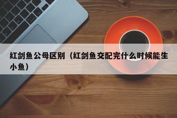 红剑鱼公母区别（红剑鱼交配完什么时候能生小鱼）