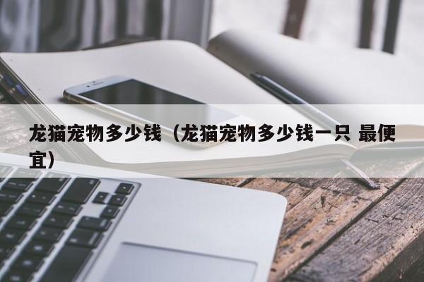 龙猫宠物多少钱（龙猫宠物多少钱一只 更便宜）